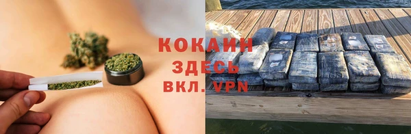 ПСИЛОЦИБИНОВЫЕ ГРИБЫ Переславль-Залесский